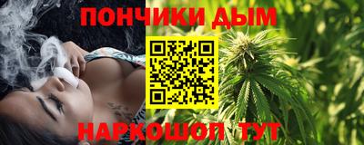 шишки Кимры