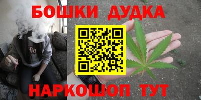 шишки Кимры