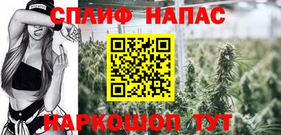 шишки Кимры