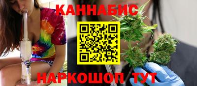 шишки Кимры