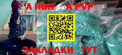 шишки Кимры