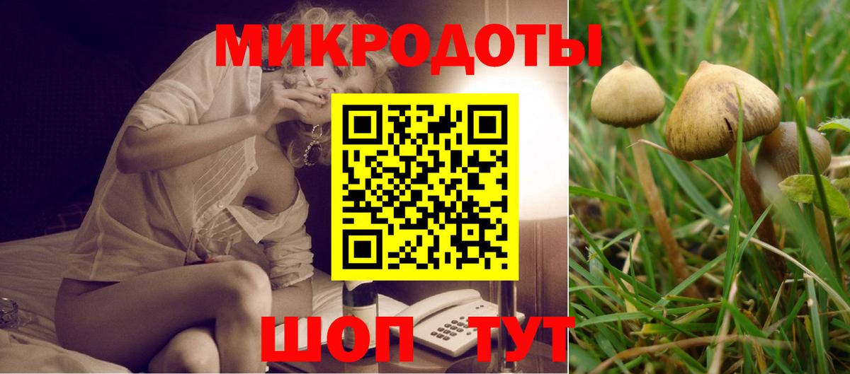 Псилоцибиновые грибы мухоморы Конаково