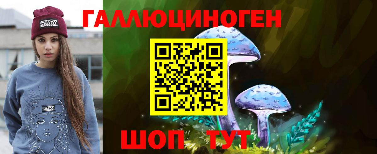 Конаково  Псилоцибиновые грибы мицелий  Вход с VPN 